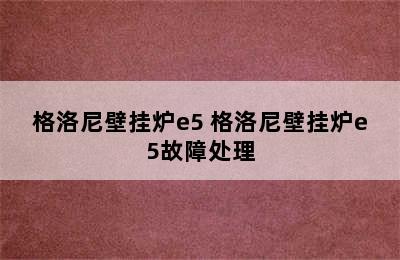 格洛尼壁挂炉e5 格洛尼壁挂炉e5故障处理